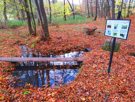 14-Izvir Lübe vodice